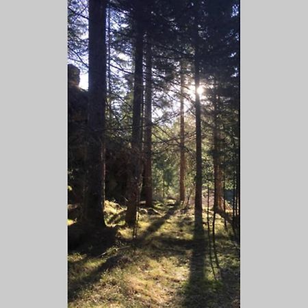 Gemuetliches Ferienhaus Am Waldrand Tröpolach Extérieur photo